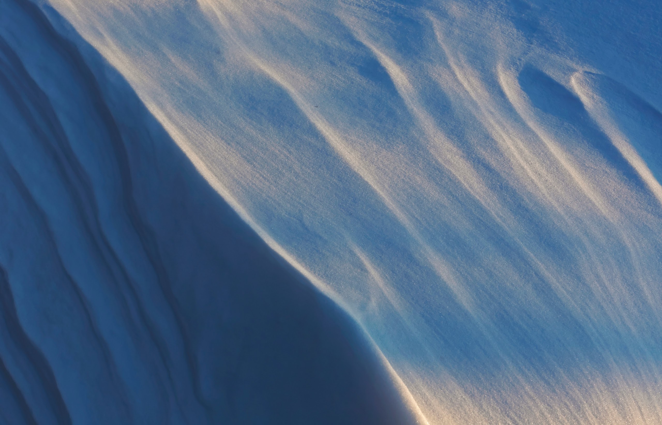 An abstract close view of a wind-carved snow drift in raking light, ridged blue and white.